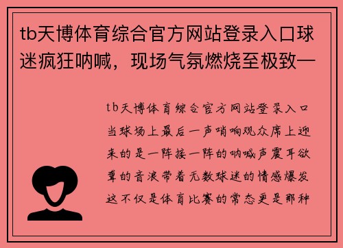 tb天博体育综合官方网站登录入口球迷疯狂呐喊，现场气氛燃烧至极致——体育赛事的魅力与狂热 - 副本